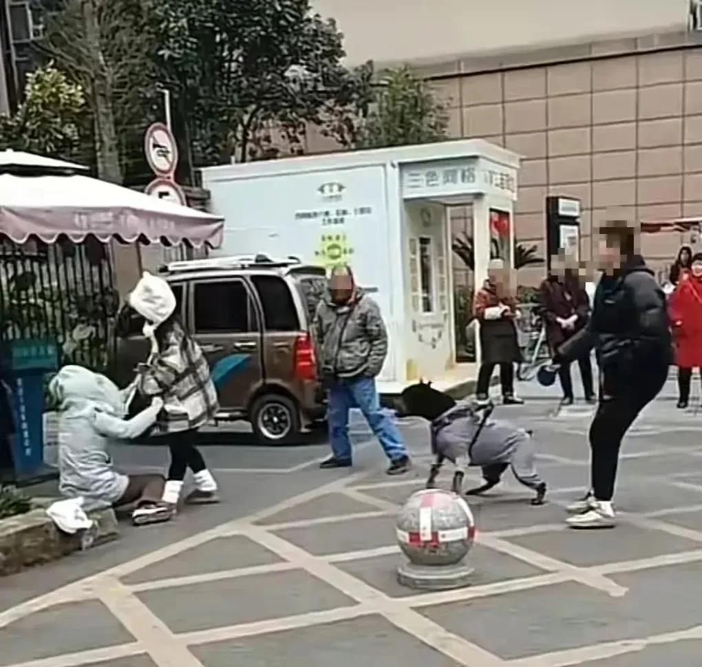 “这对情侣彻底火了！”四川成都，一对情侣遛狗，过路女子就说了句“这狗真大！”情侣