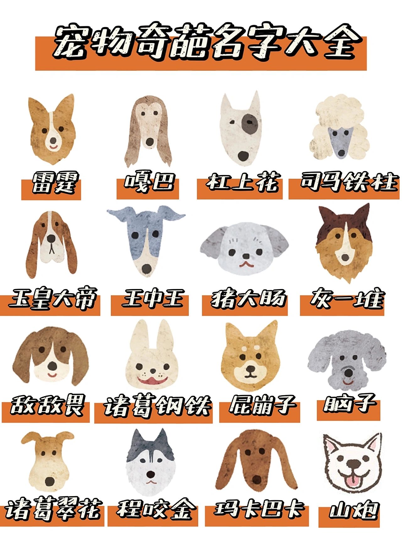 自家宠物起的名字#狗狗名字#