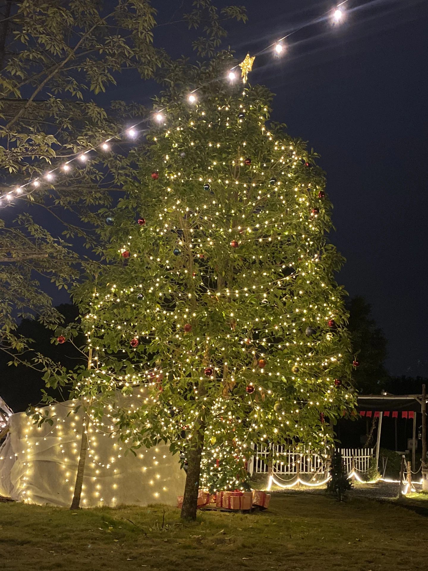 广州好看又好玩的篝火露营地❗️
