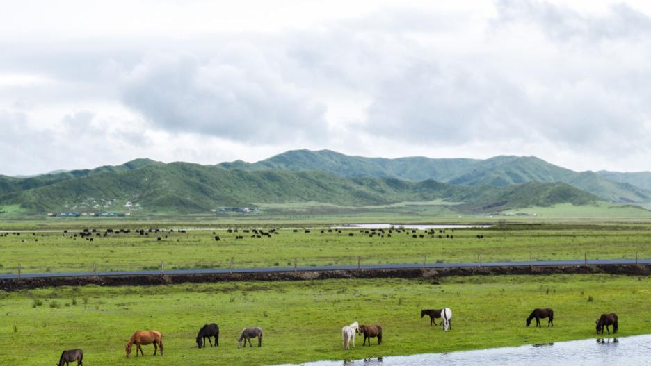 打卡“红原之眼”观光塔，和草原浪漫邂逅