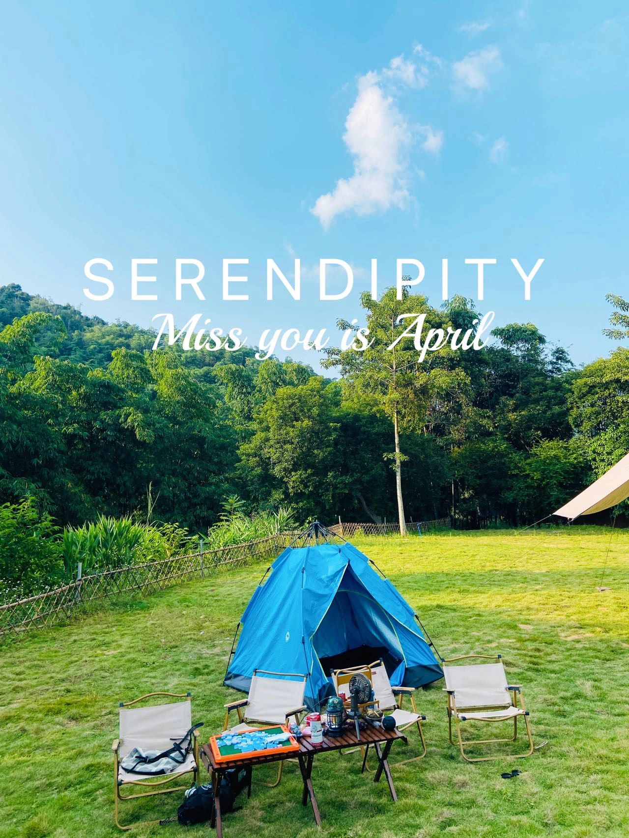 安静的露营地🏕️户外烧烤亲子出游好去处