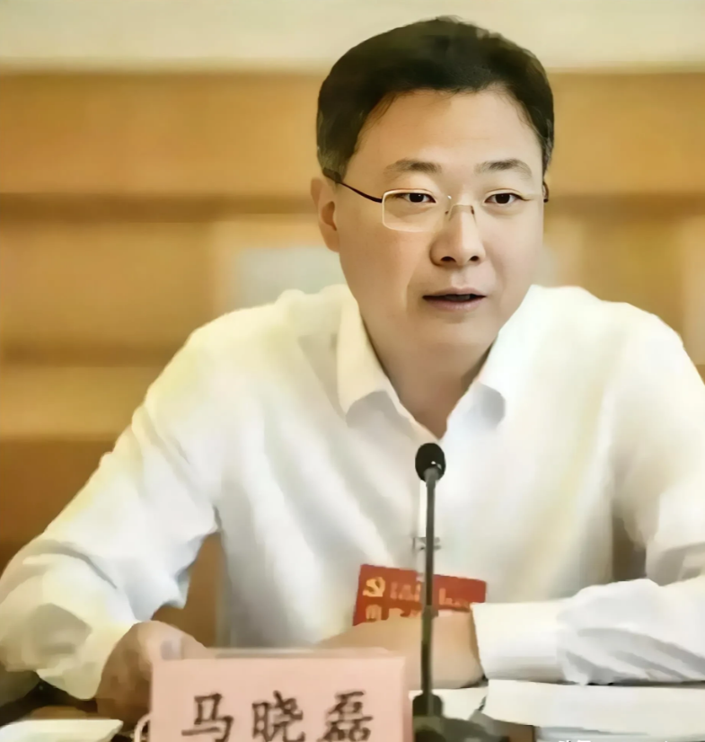 淄博市委书记马晓磊因中央的表扬而成为焦点，他展示了为民服务和勤政务实的领导风范。