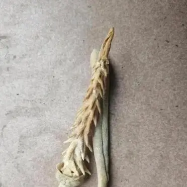 老公的酒里捞出来的，什么玩意啊？