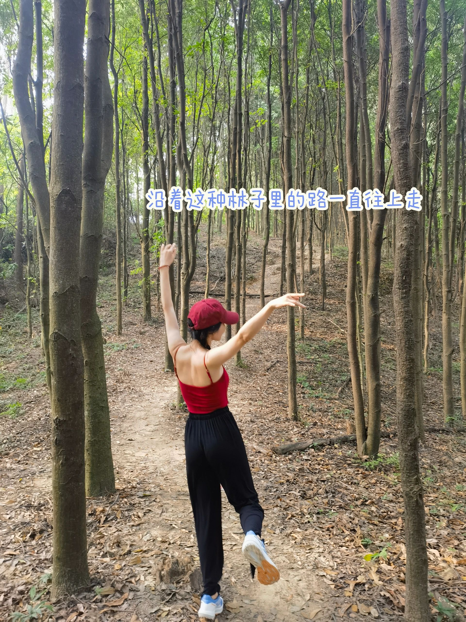 牛头-天麓湖徒步路线，周末解压好去处推荐