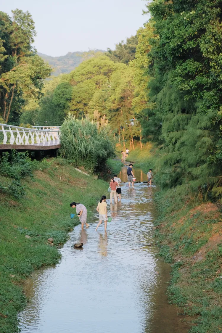 白山村，市区最近的戏水好地方