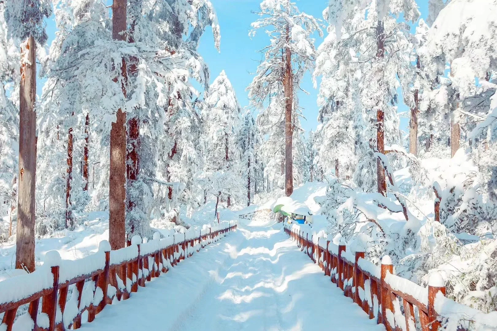 瓦屋山下雪啦🌨重庆往返瓦屋山2天