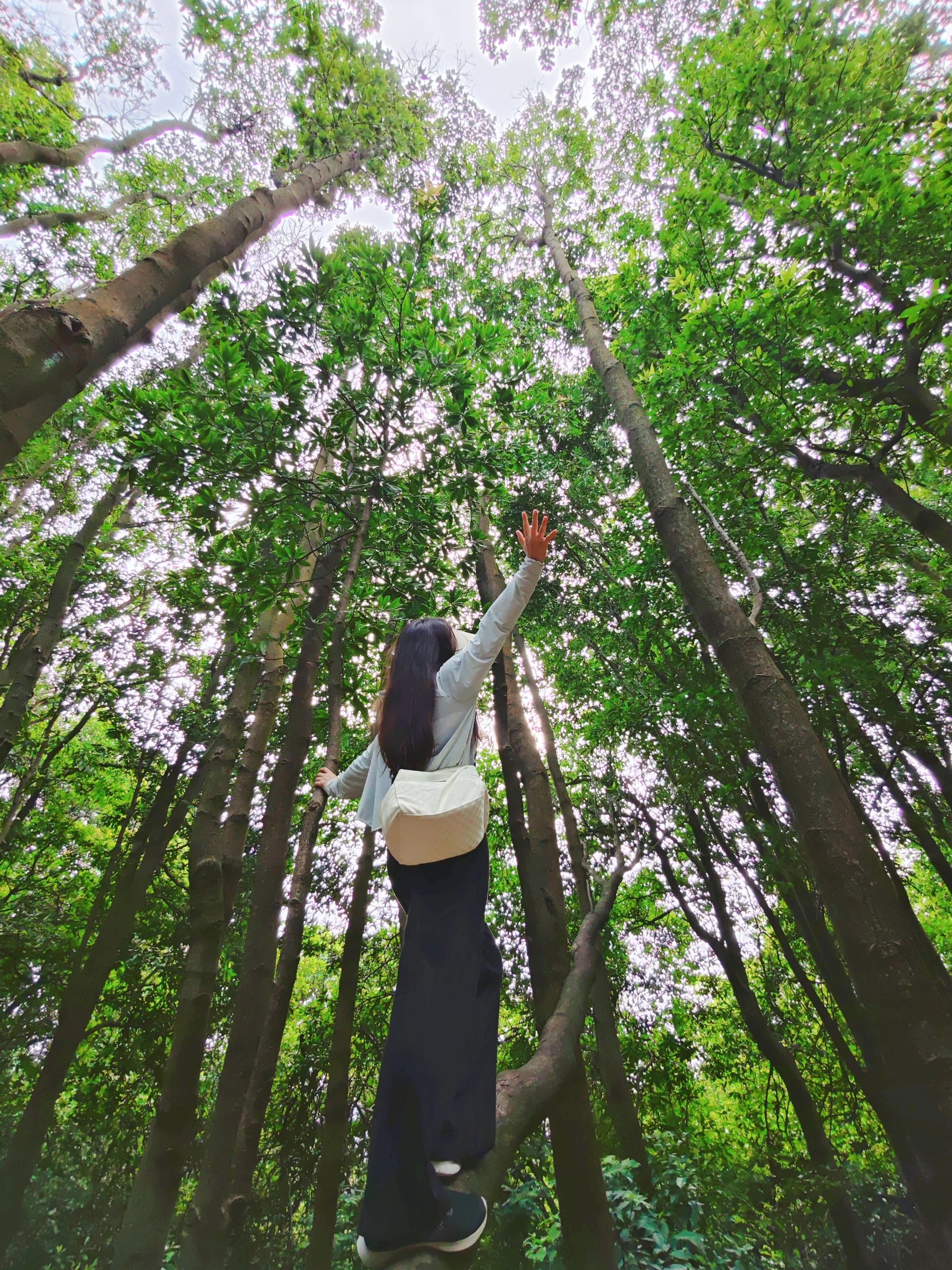 发现适合周末小众徒步，就在广州三号线！