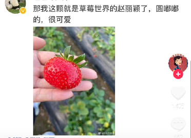 好奇点进去…看到的时候，笑了…