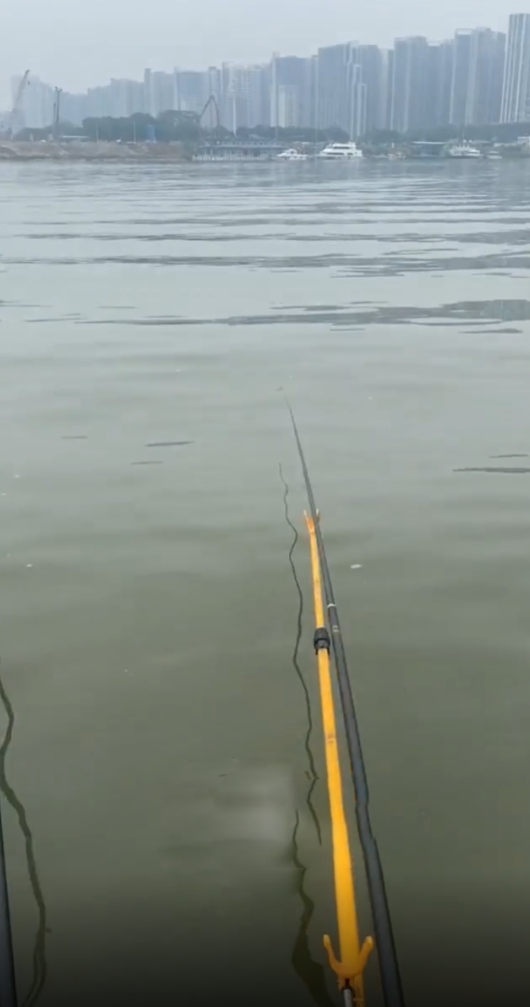 分享一个可以免费钓鱼的地方，就在潭州水道