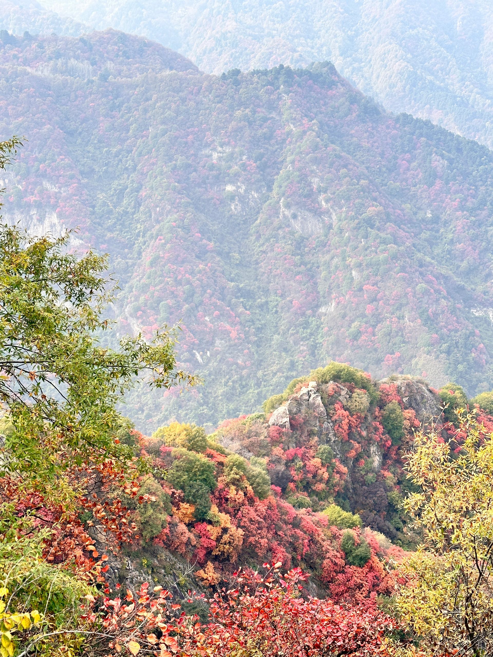 🍂🍁看层林尽染，来翠华山捡秋天～
