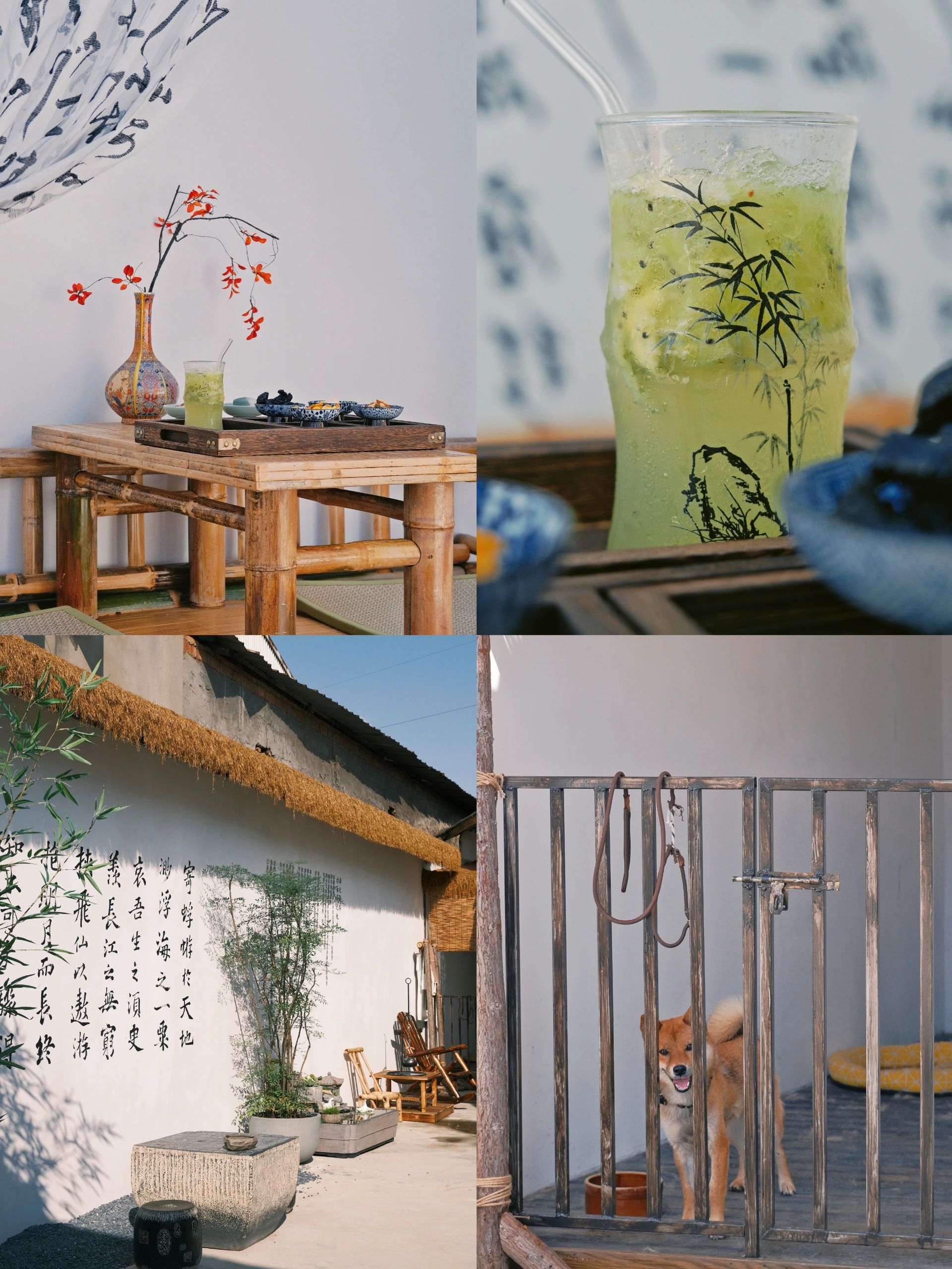 杭州免费看展|一边看展一边喝茶好生惬意