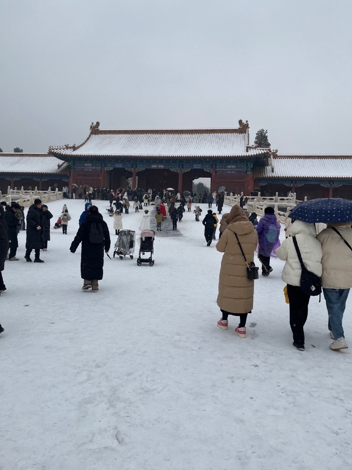 和喜欢的人一起去赏雪🌨，
走着走着我们一起白了头 ​
