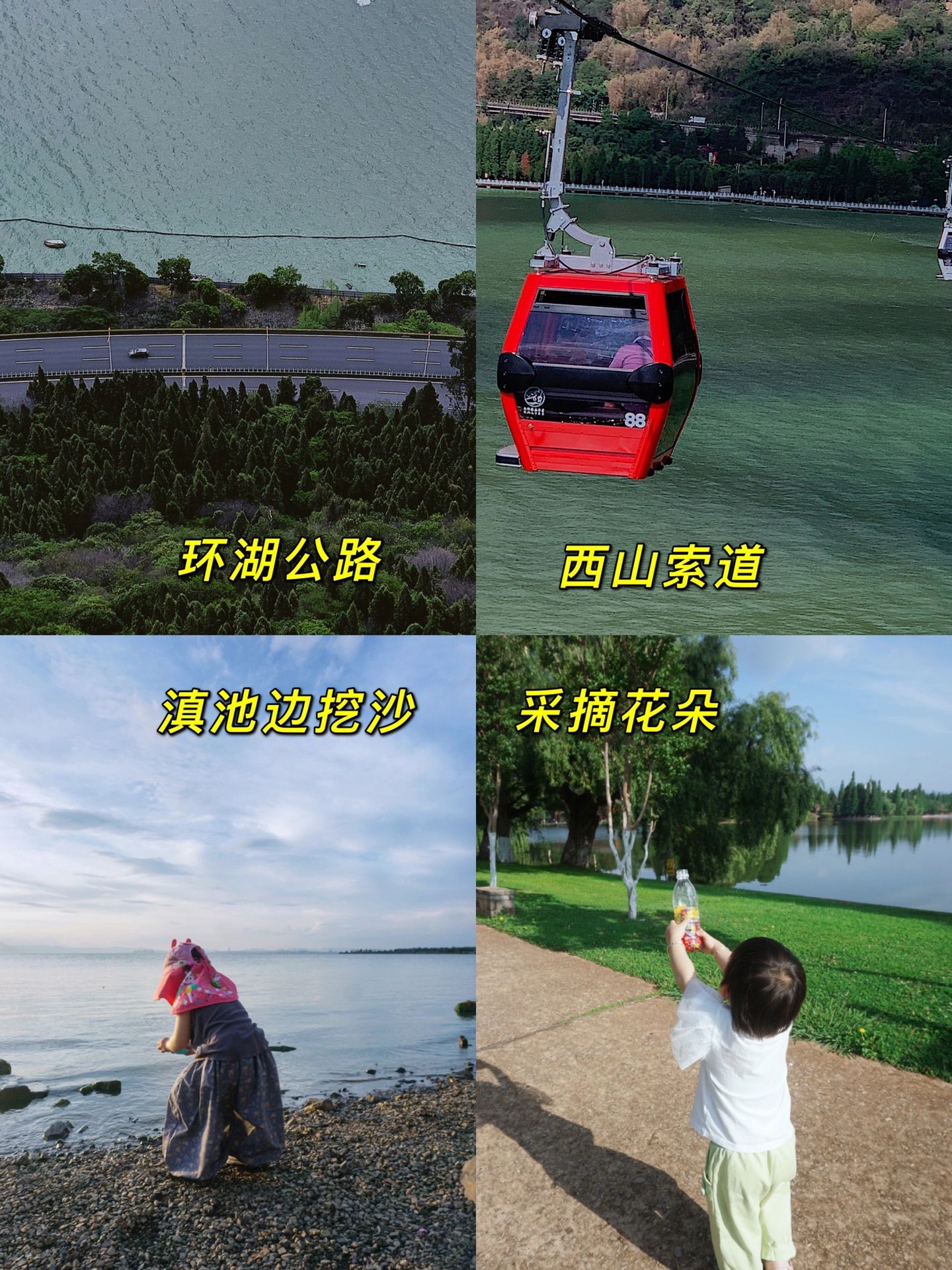 暑期亲子游学｜探秘云南滇池，开启自然之旅