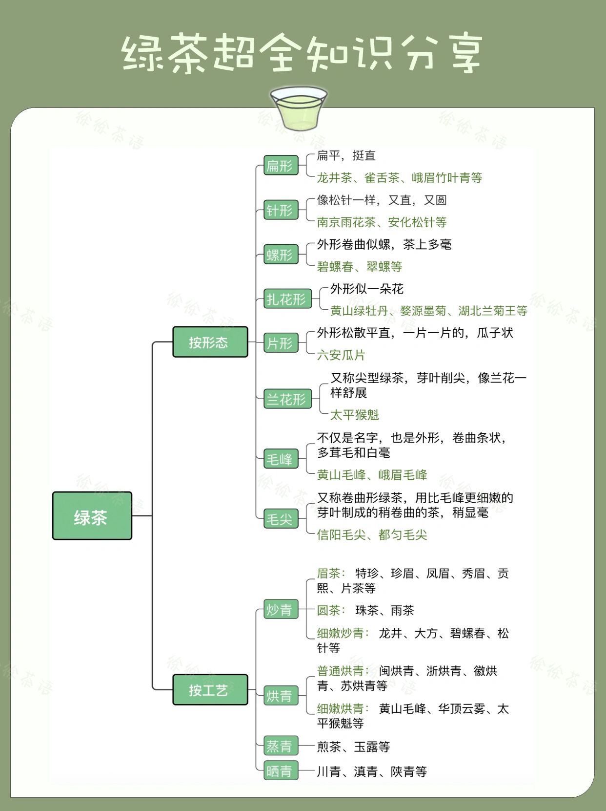 绿茶有哪些品种#绿茶知识分享#