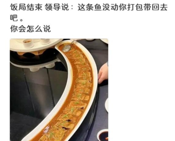 来个高情商的救下场