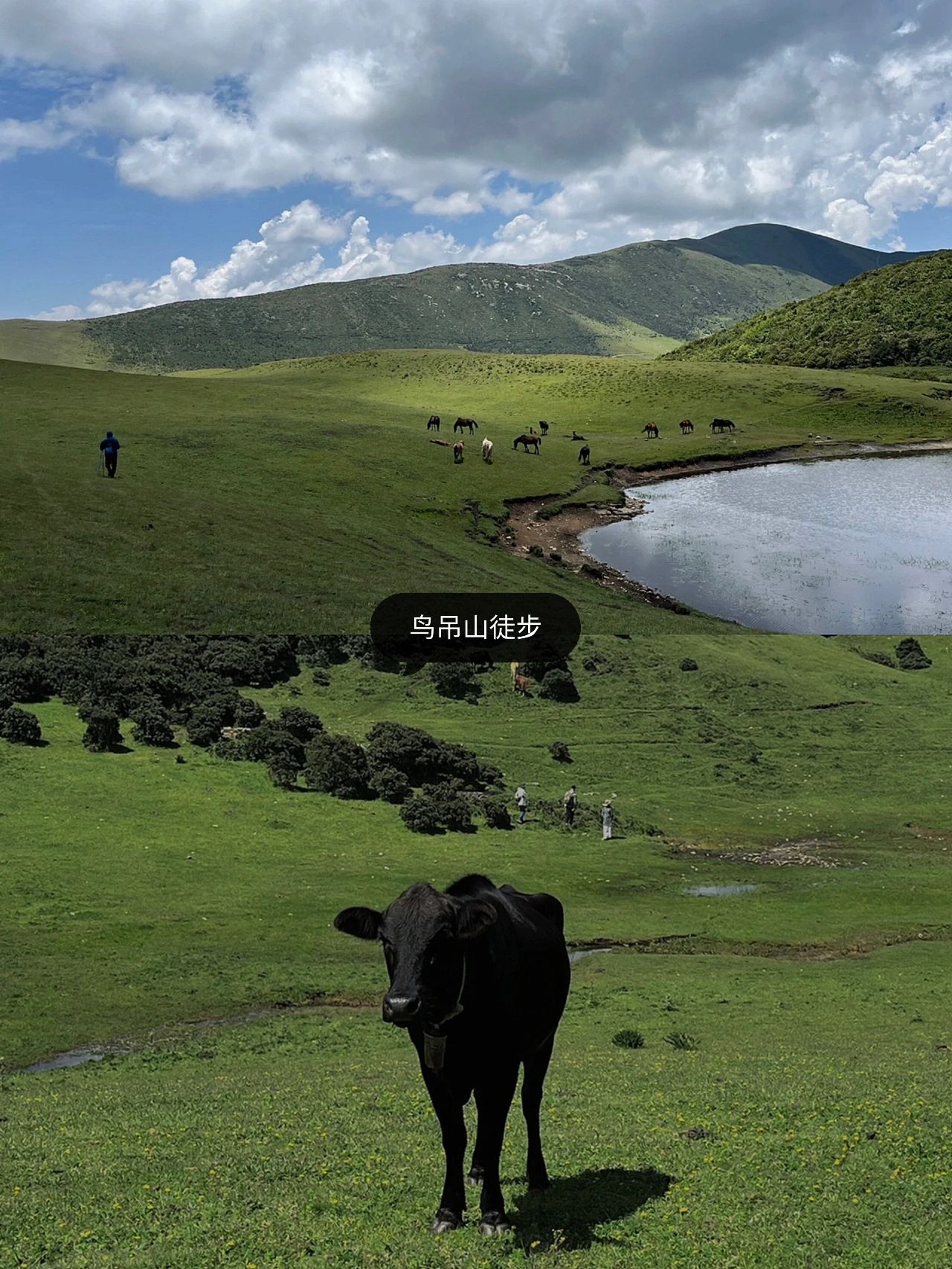 抛开商业化，本地人带你看看不一样的大理
