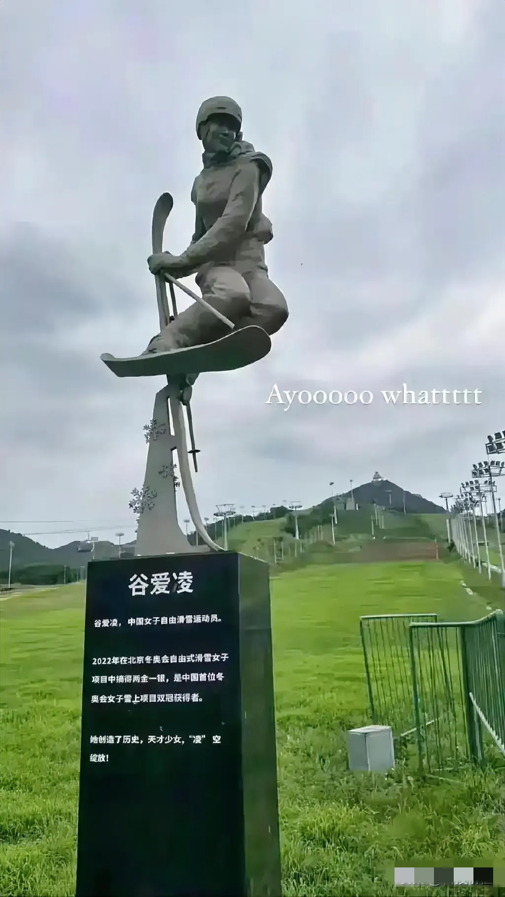 居然给谷爱凌立了雕像，
真的是搞不明白这是谁要求立的，
为什么要立？
她为中国做