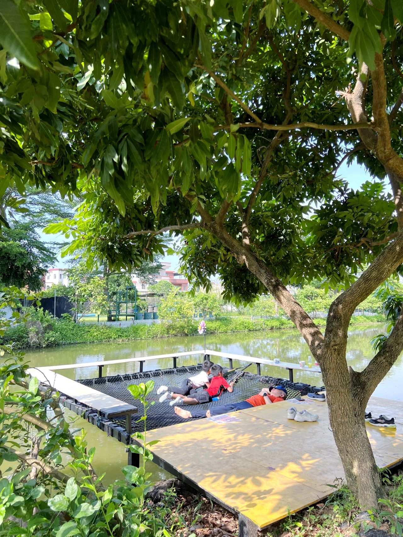 🏕打卡广州周边宝藏露营地享受片刻宁静