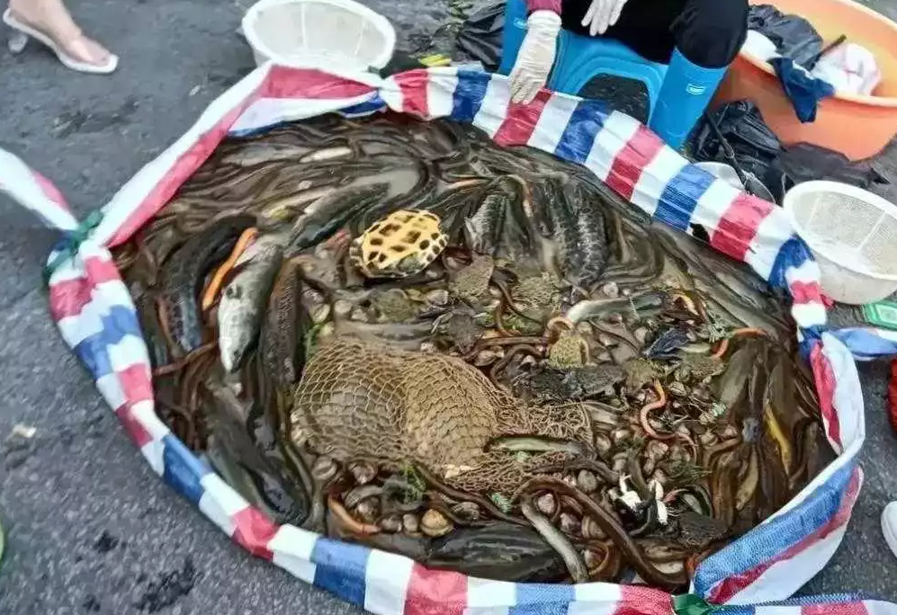 老板真聪明，这样混着卖大家抢着买