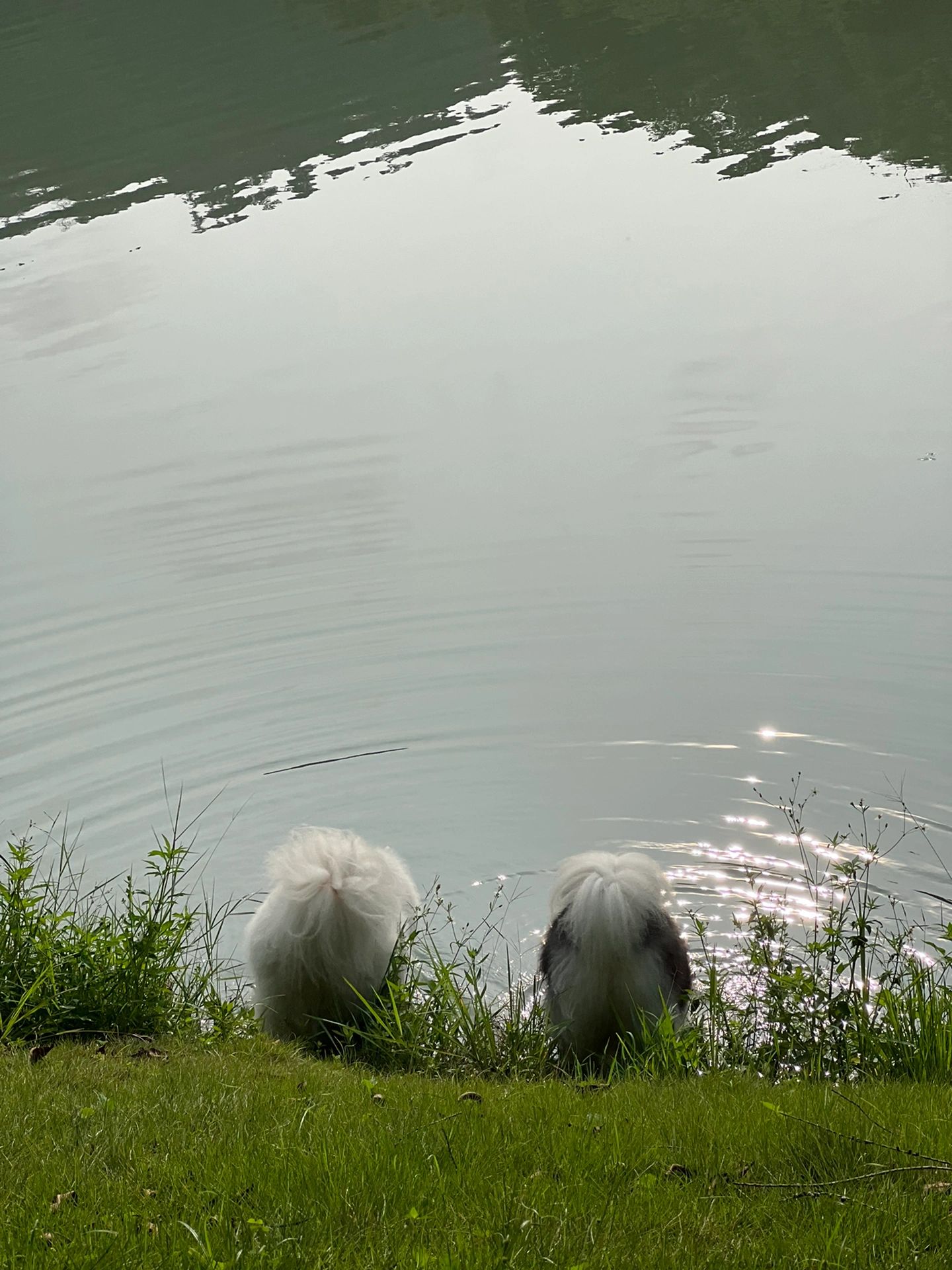 从化黄龙带水库