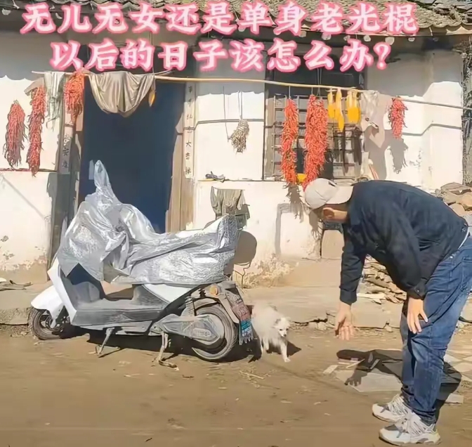 
男子选择躺平生活，不结婚不恋爱，过着孤独却自在的日子。

在传统观念中，不结婚