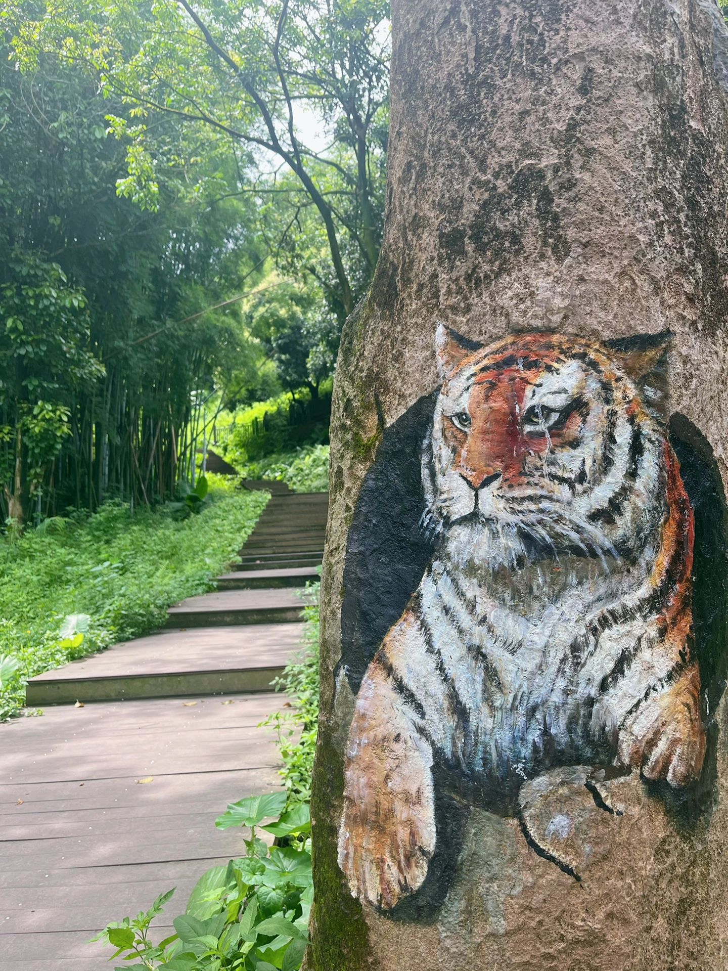 不晒！可玩水！适合大人小孩的黄埔登山步道