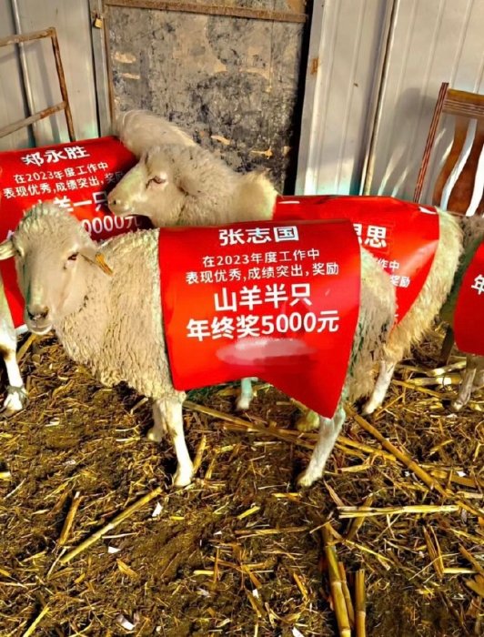 山羊 与年终奖的苦果亦是果 ​​​