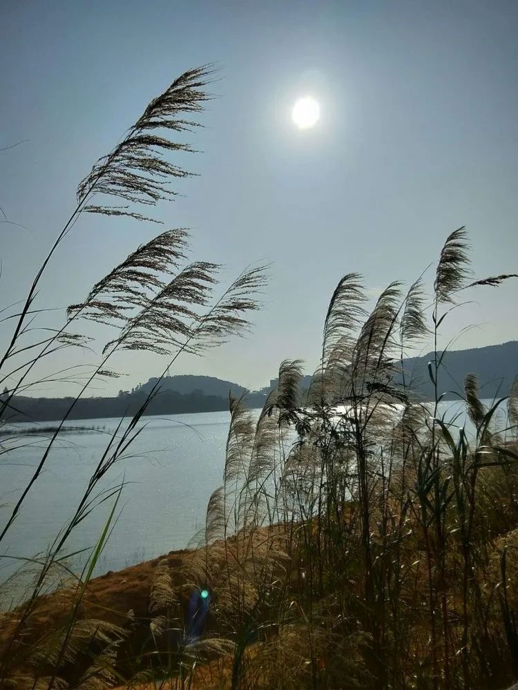 醉美花都、徒步芙蓉嶂大环线