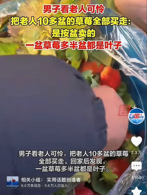 云南楚雄，一男子在路边看到一名瑟瑟发抖的老人正在售卖草莓，男子于心不忍，就一下子