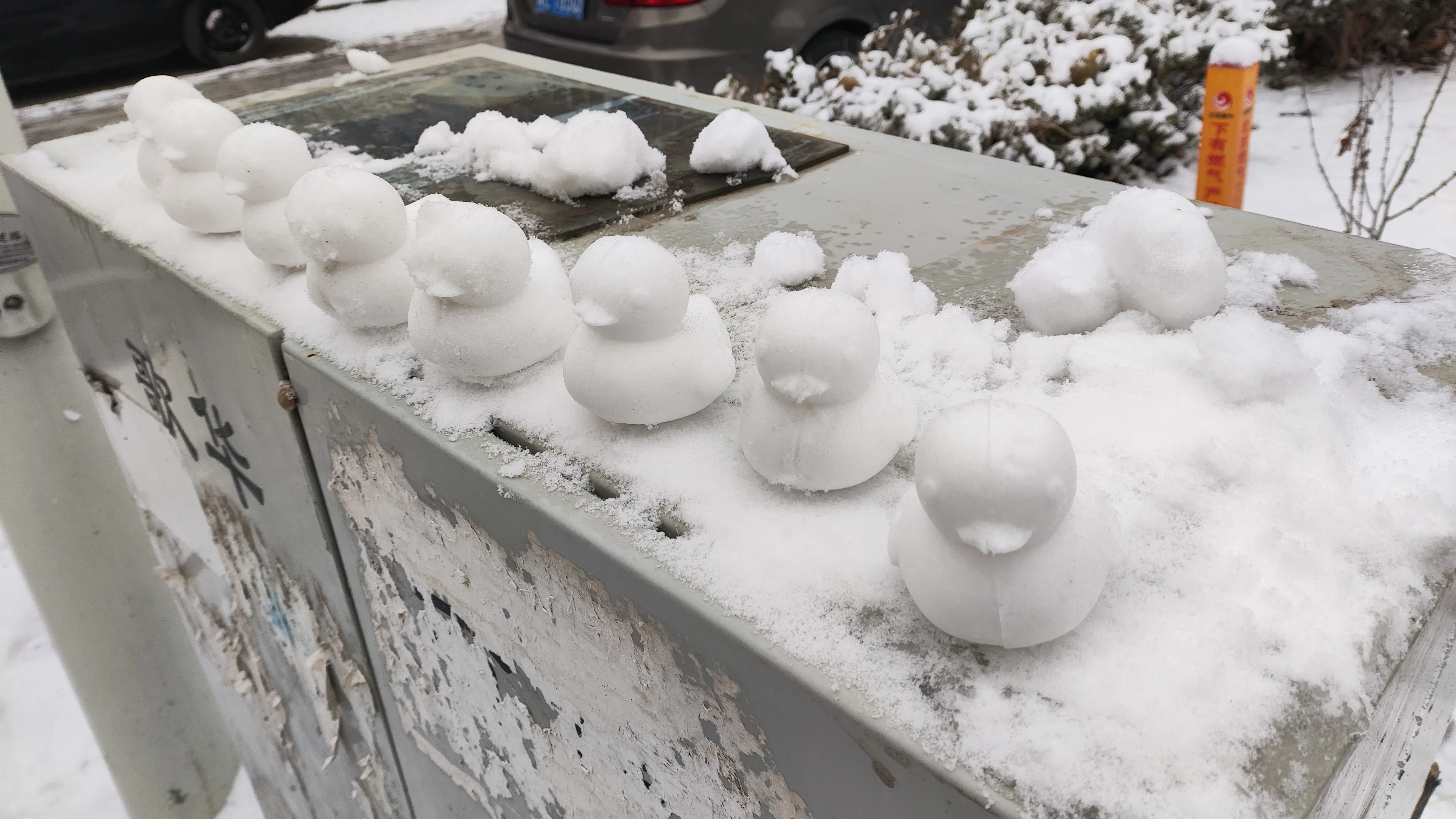 刚接市政府紧急通知，因暴雪橙色预警，明天全市中小学、幼儿园停课，在家线上学习，观