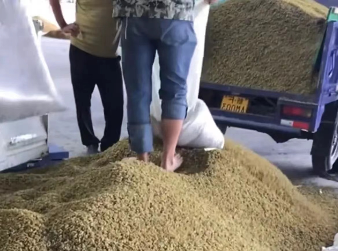 躲过了老坛酸菜，却没躲过葡萄干刷到一位网友分享自家葡萄干的制作过程，本意是想表达
