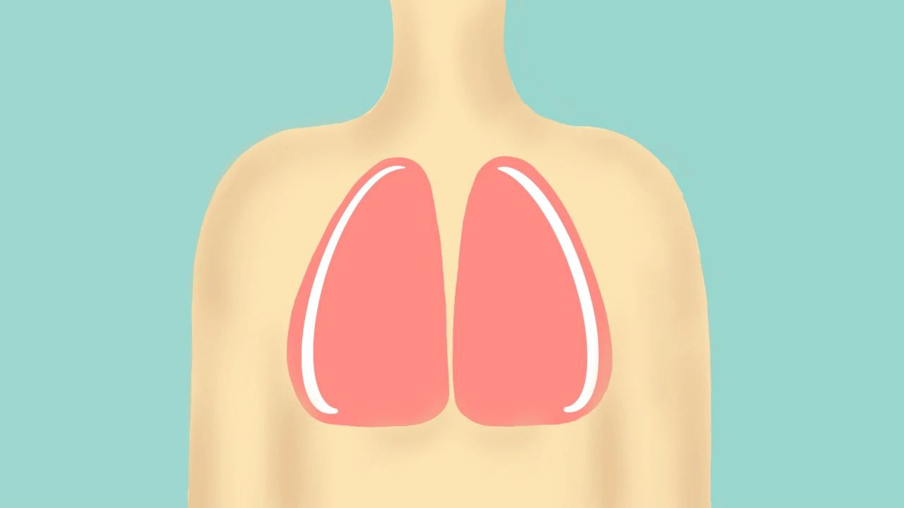 若是肺不好，身体或会出现“1慢、2突”的情况，需警惕