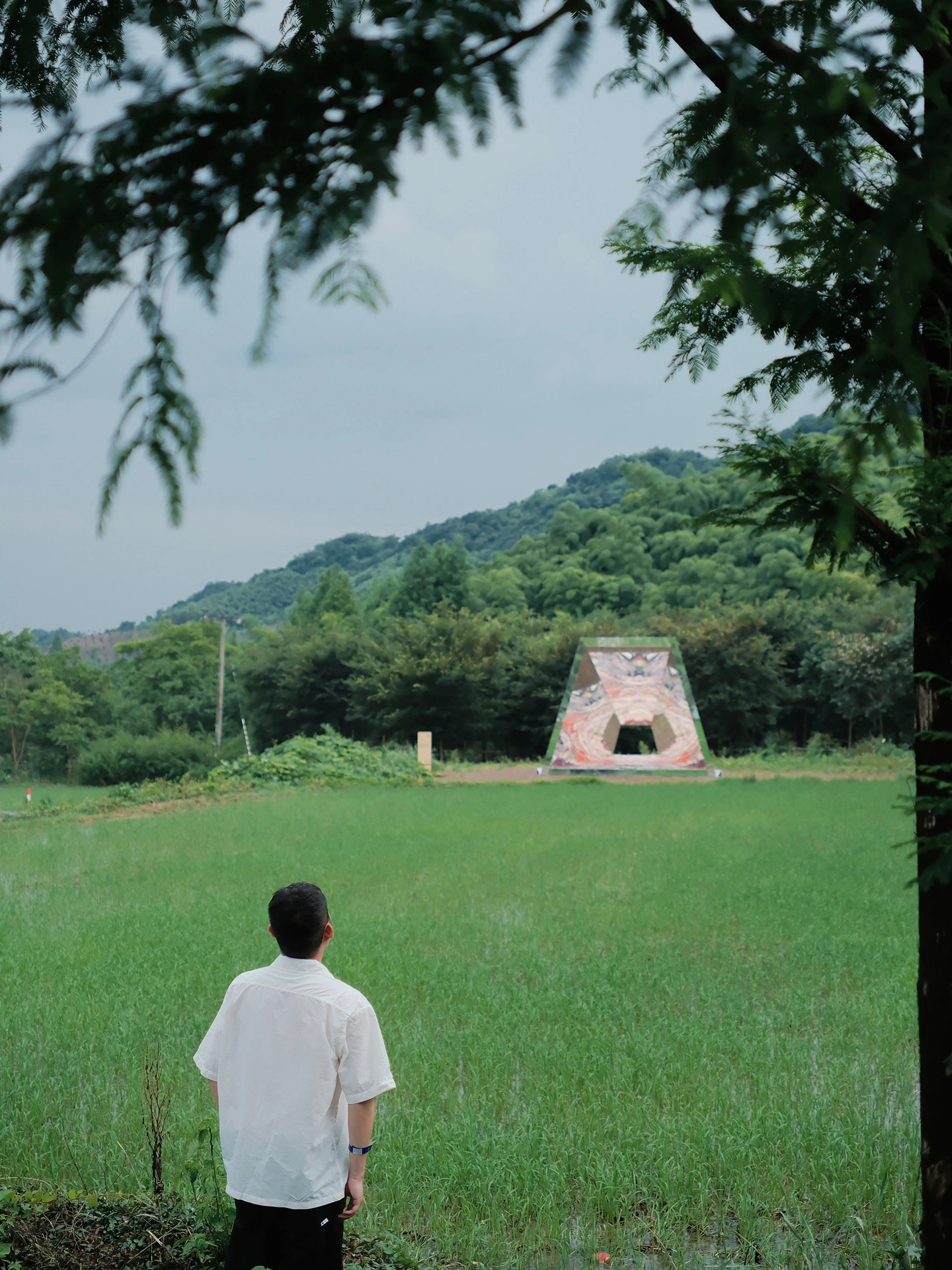 杭州设计周走进乡村，原野中的文艺范