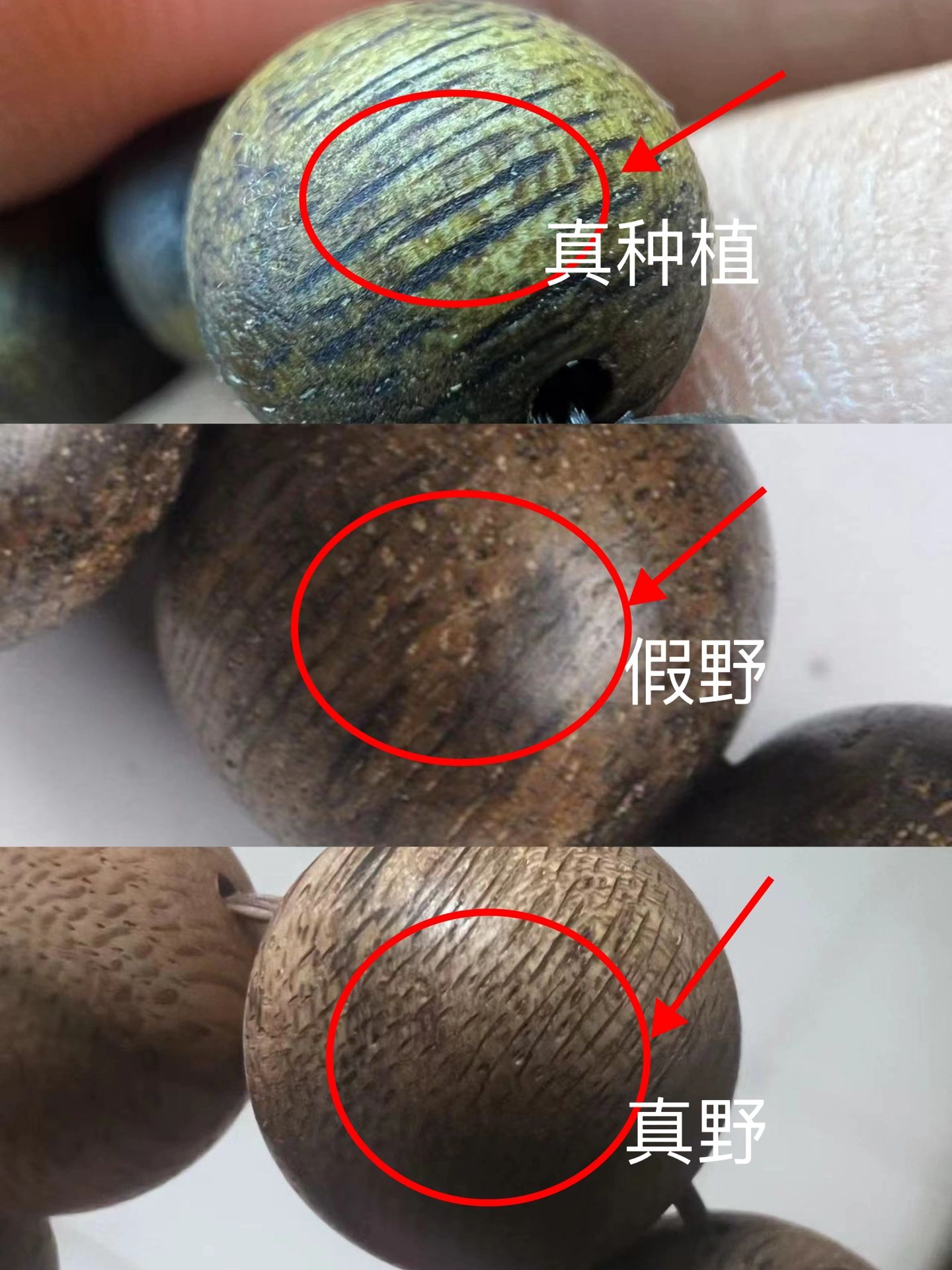 唯一一期详细讲解真假沉香的关键点
