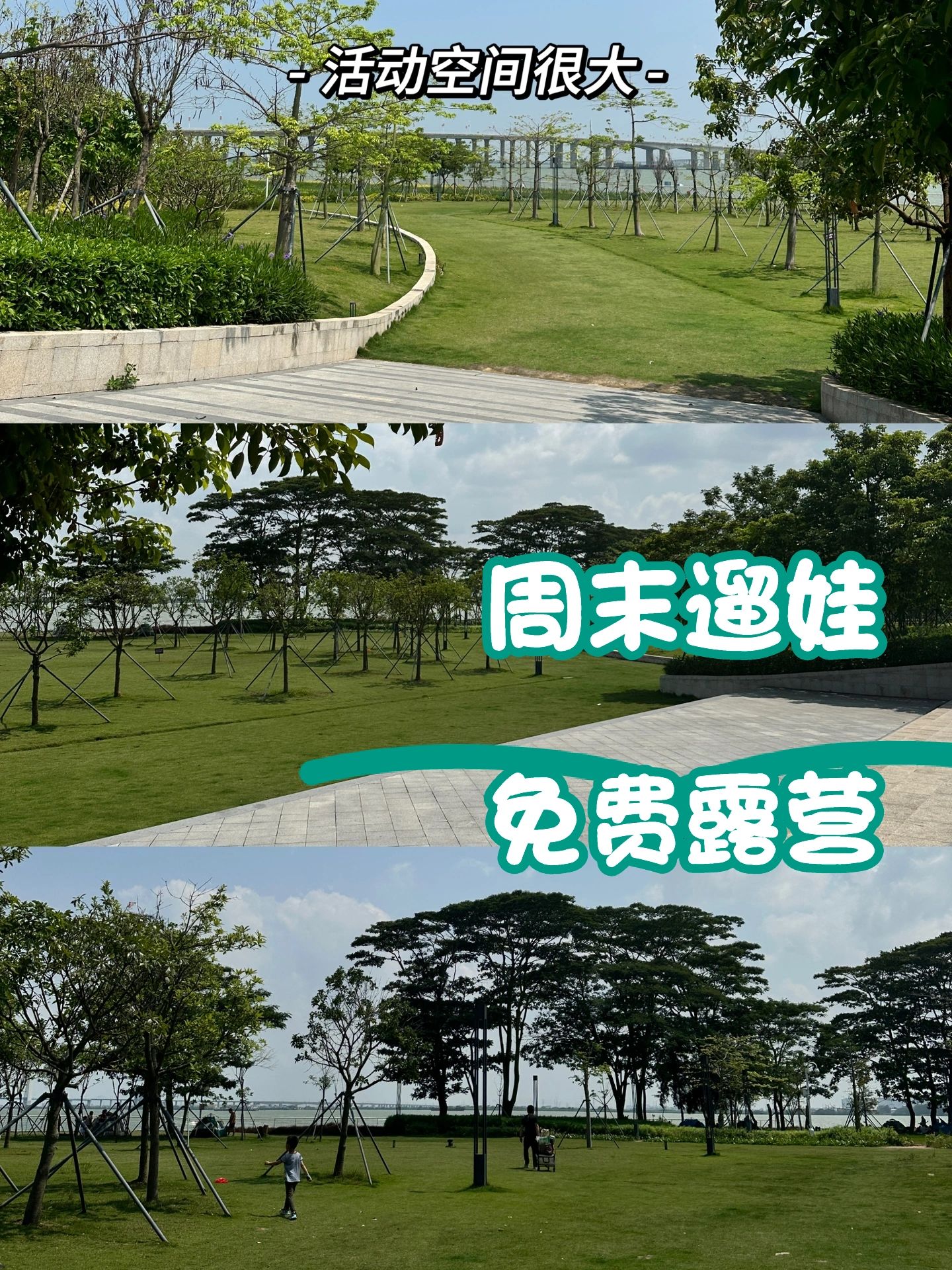 深州周边免费露营点——广州南沙珠江湾