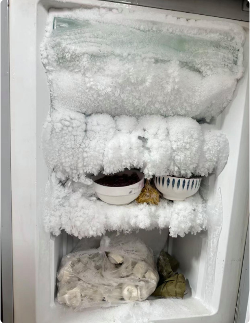 打开冰箱的那一刻，都惊呆了！！！

这么“勤奋”的冰箱，真的是第一次看到！这得连