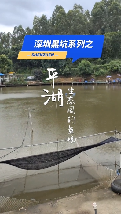 探坑平湖生态园钓鱼场