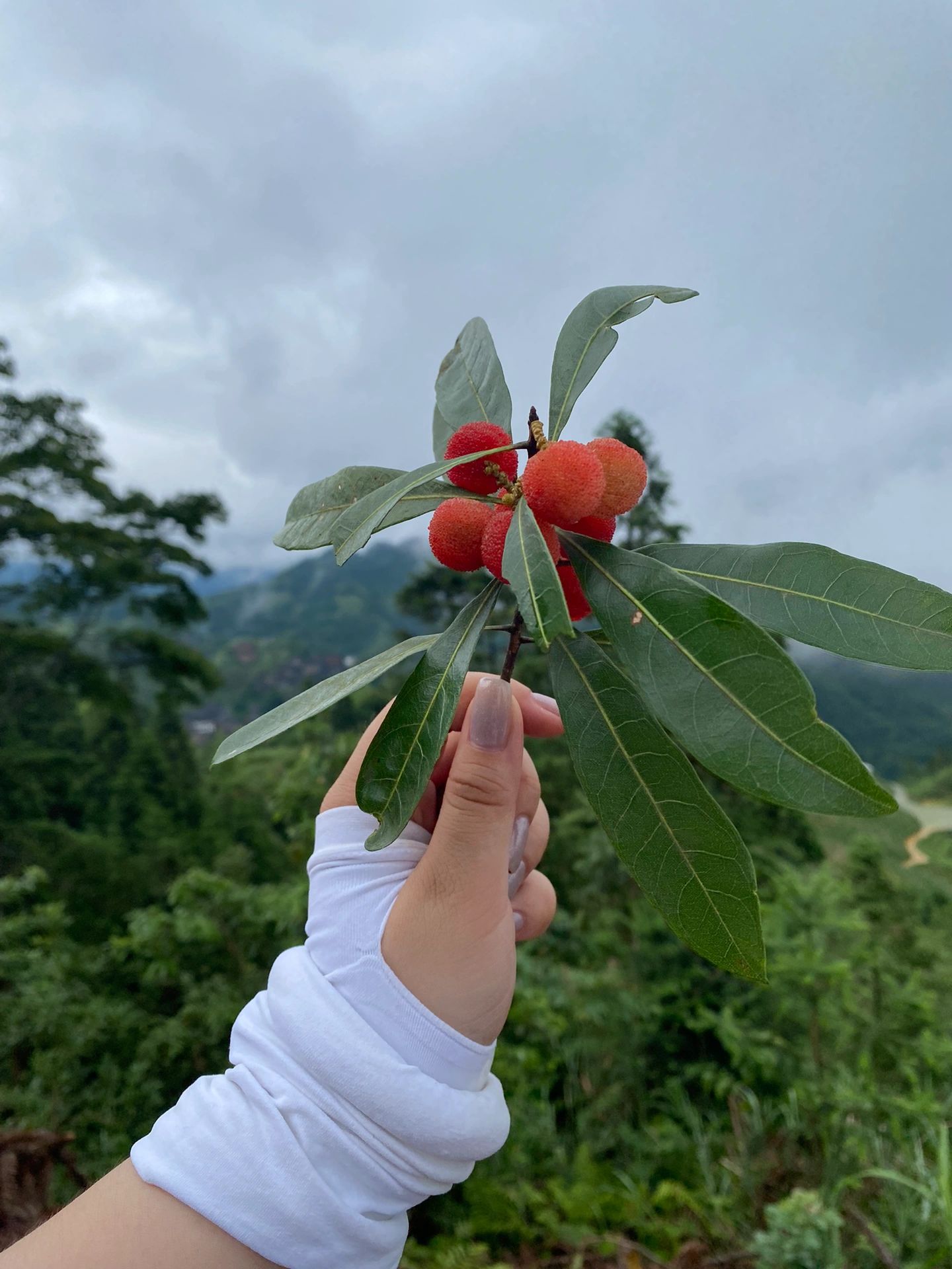 龙脊梯田20公里徒步！如此厉害的我们