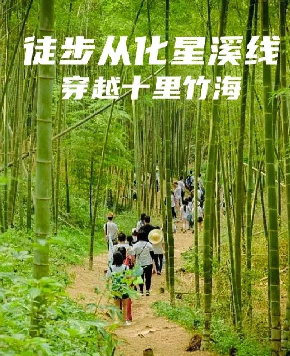 徒步广州从化最美星溪线