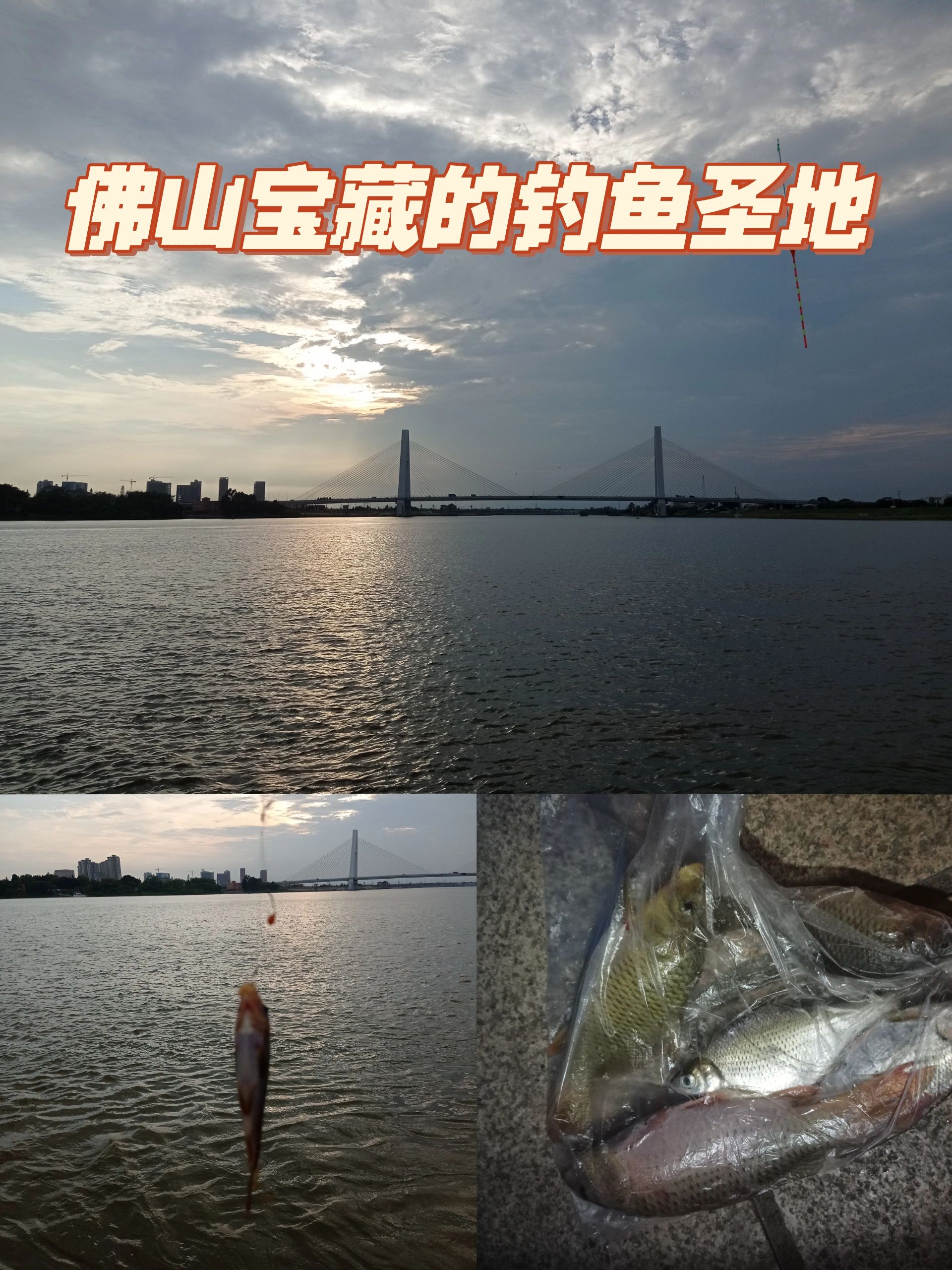 发现一个佛山宝藏级钓鱼圣地🎣环境超好