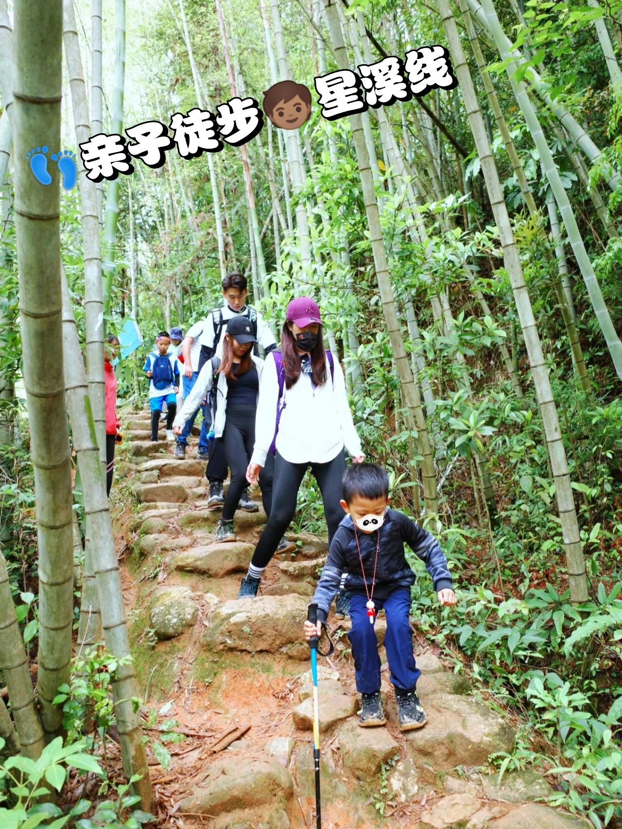 🌱从化·星溪线|亲子徒步|带娃翻山越岭