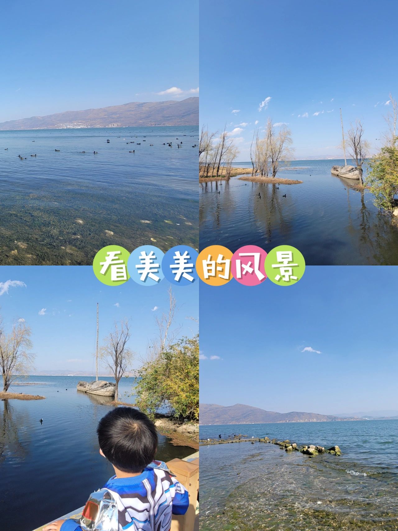 大理洱海亲子游玩攻略