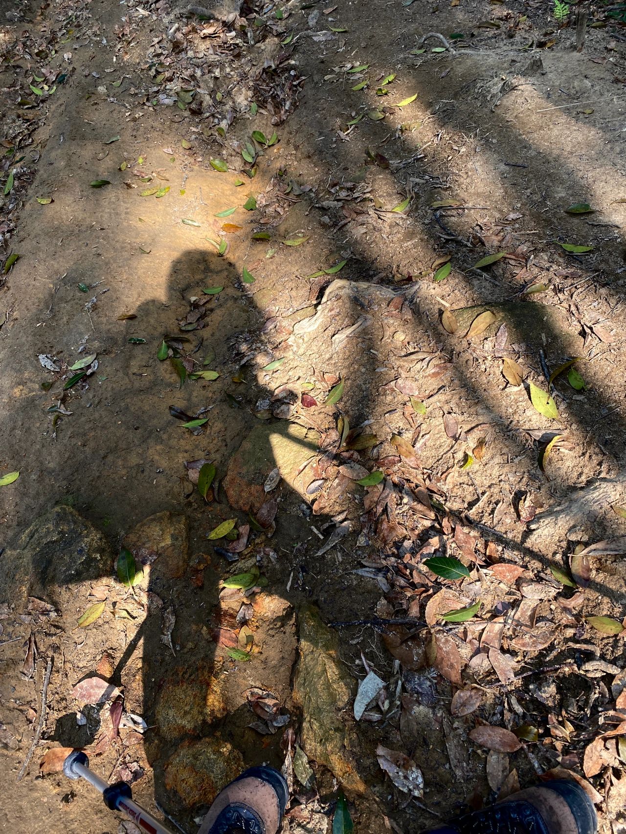 广州岭头环线户外徙步