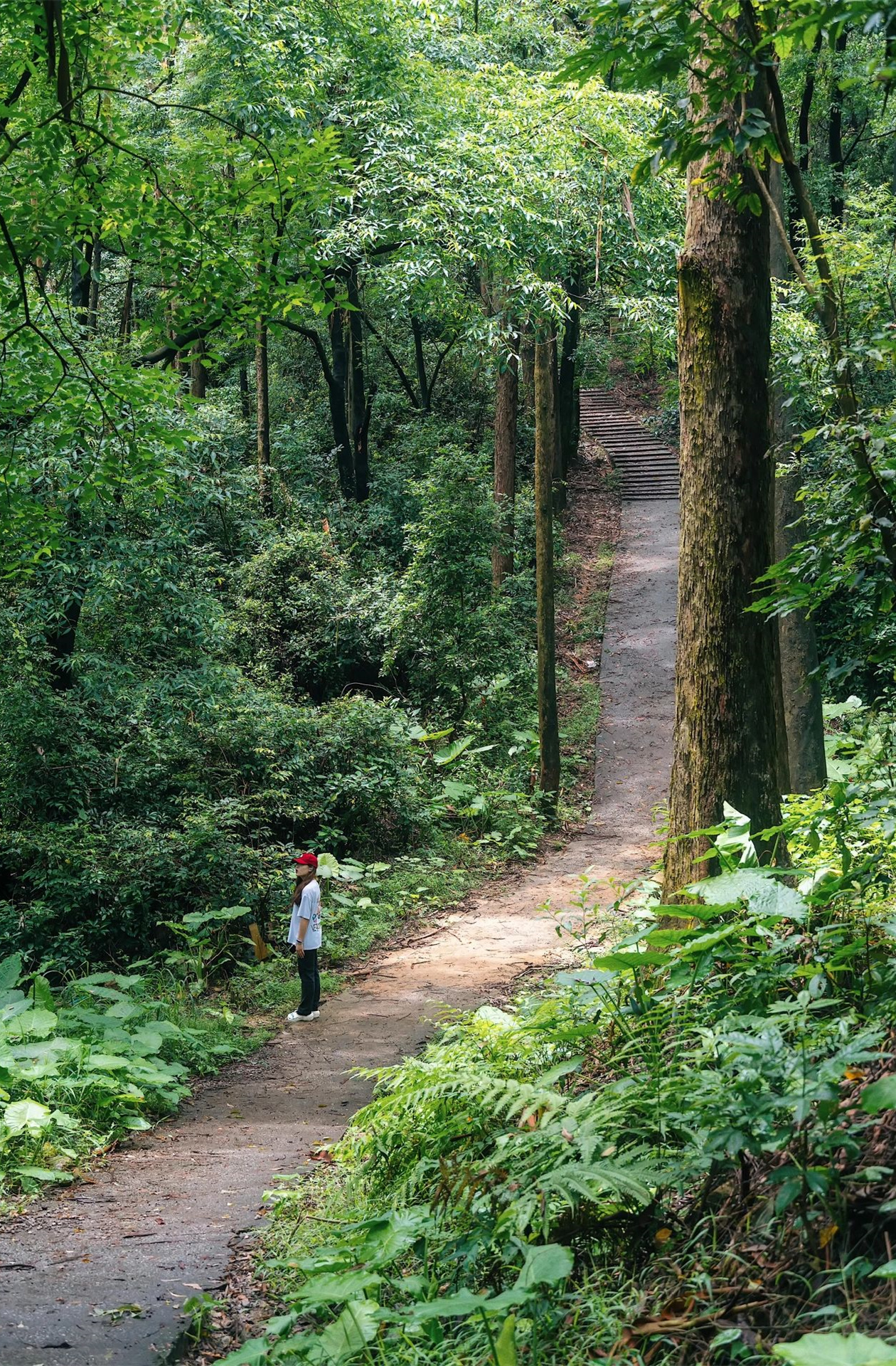 广州小众徒步｜京溪生态公园30分钟登顶！