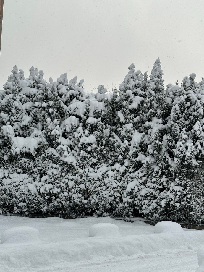 这是我有记忆以来最大的一场雪了，终于亲眼所见爸妈说的“大雪到小腿肚”，晴天的美和