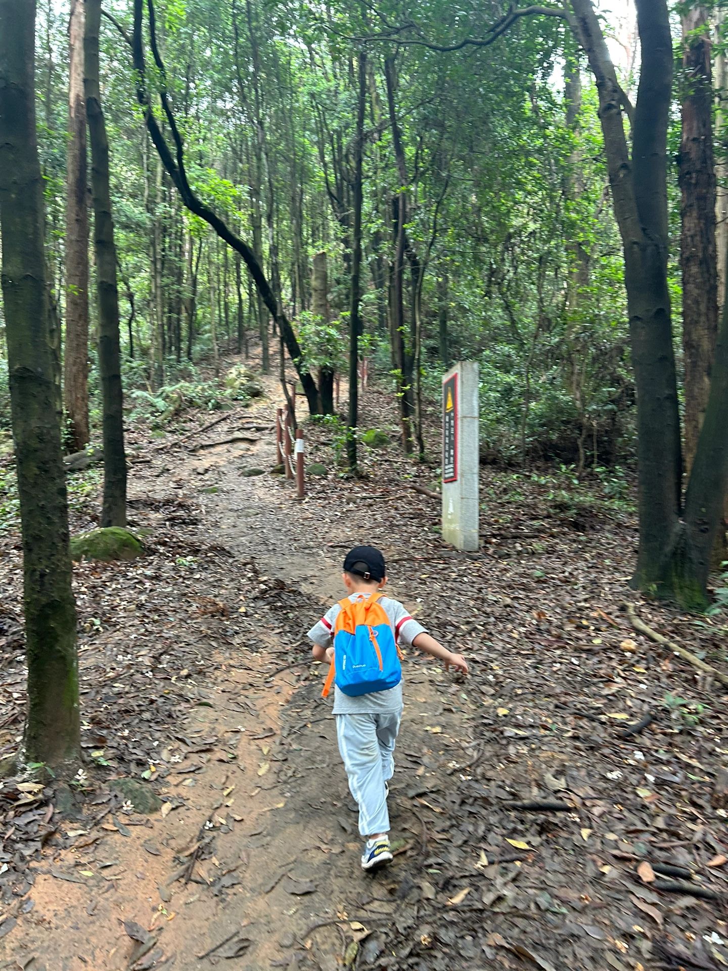 3岁儿子又轻松✅一山‼️广州亲子徒步