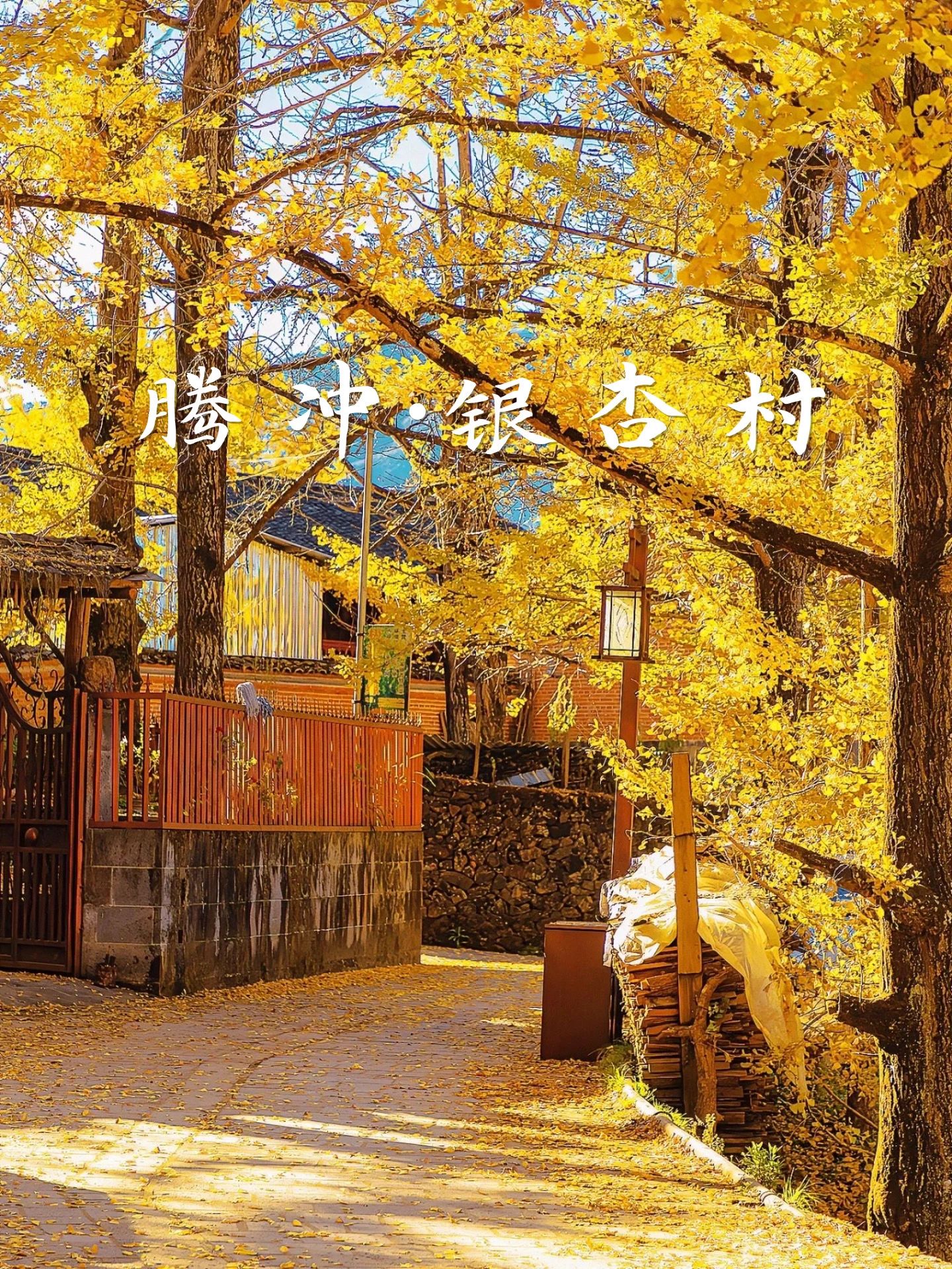 9~10月一定要去腾冲感受秋天