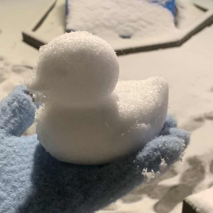2024第一场雪竟然让我遇到
瑞雪兆丰年