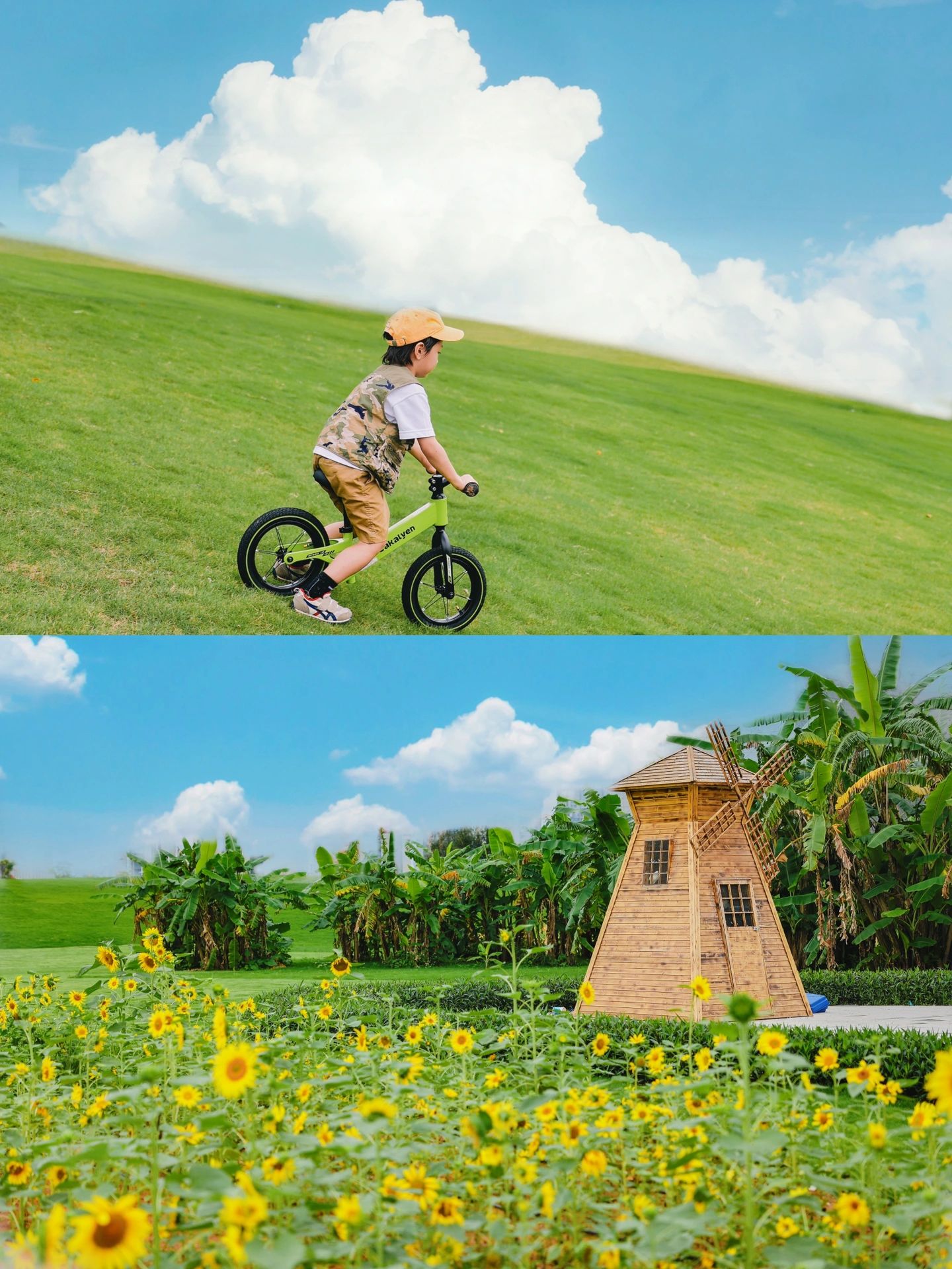 滑进宫崎骏的夏天🌻免费遛娃露营地