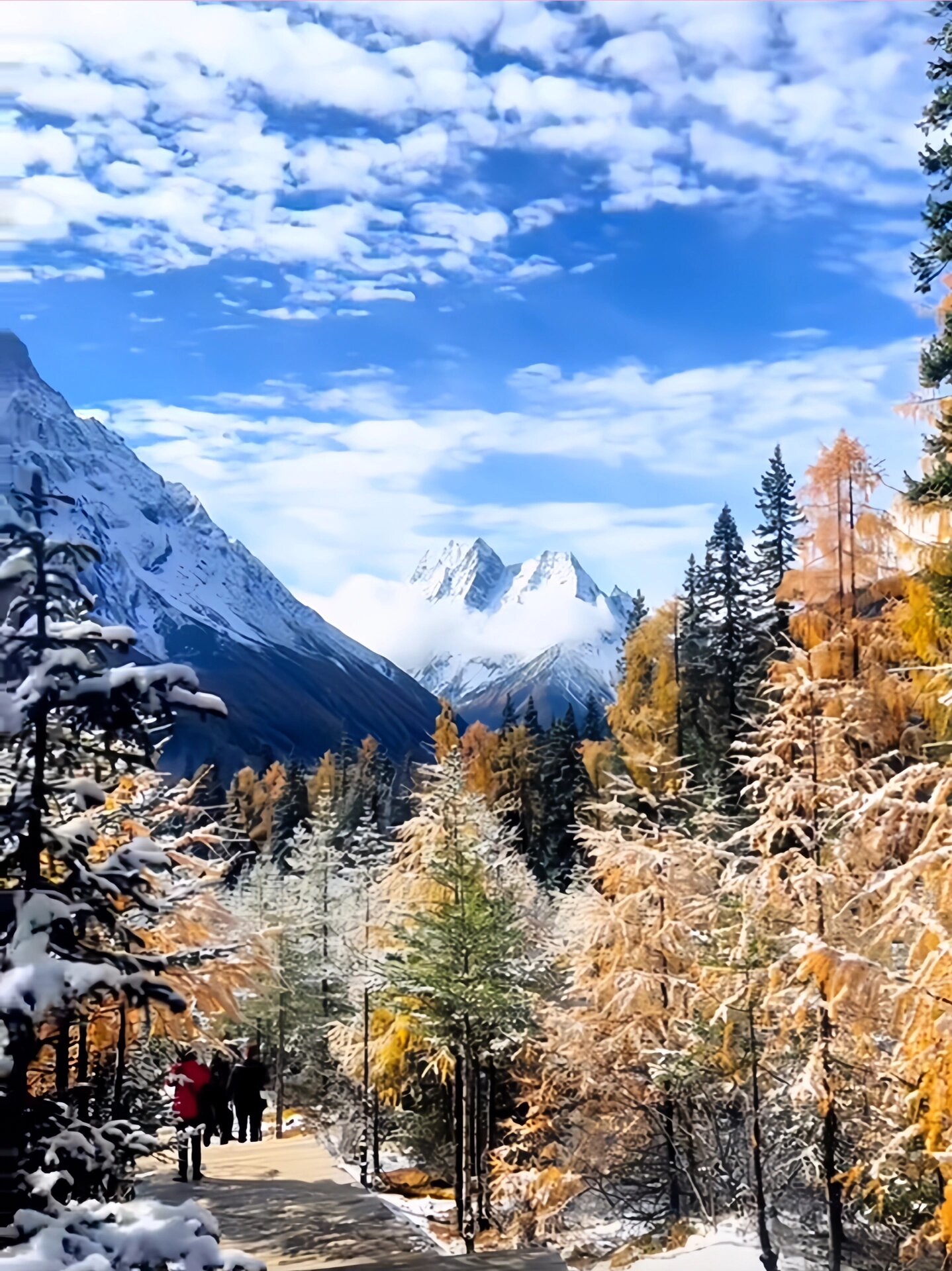 12月赏雪攻略雪后四姑娘山，美得不像人间